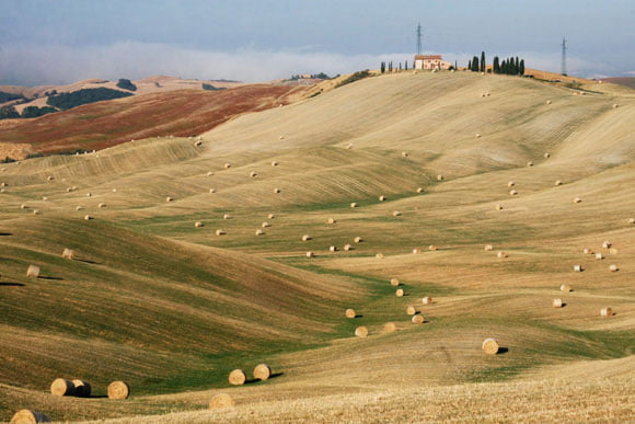 Insalata cruda di zucchine e wakame 1