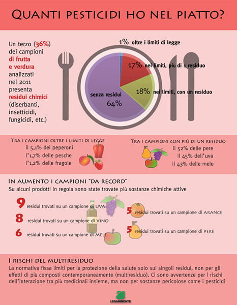 pestipiatto_2_copy_0