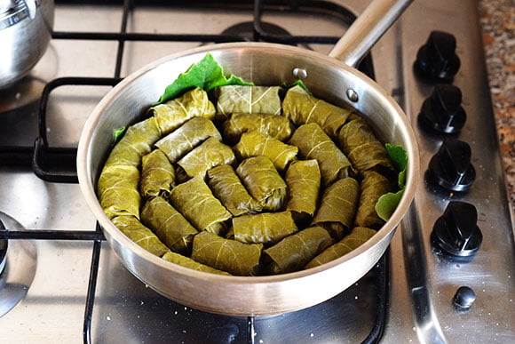 Veg Dolmades 6 dolmades_2
