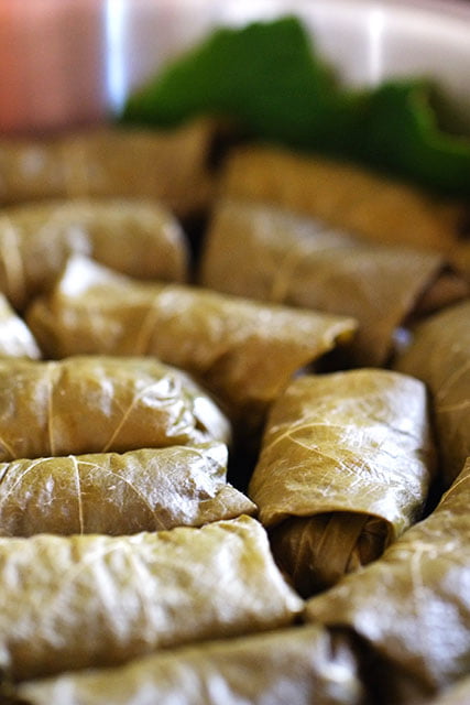 Veg Dolmades 5 dolmades_3