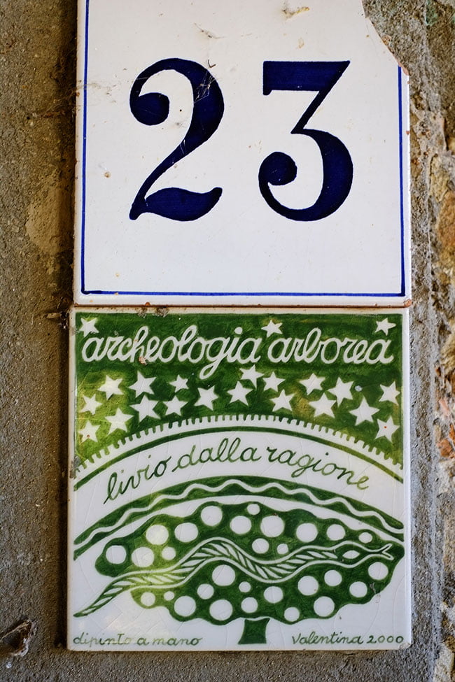 23