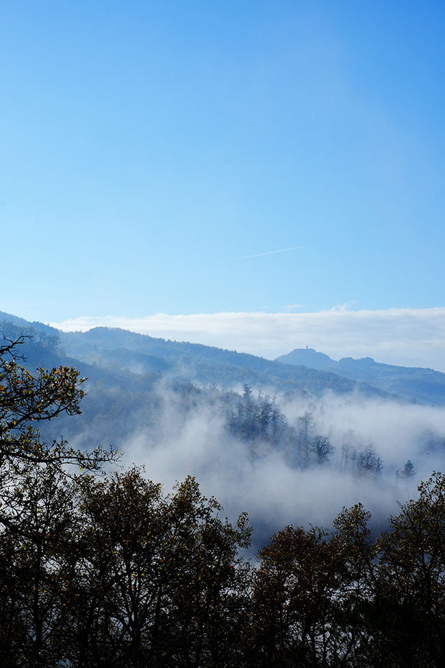 nebbia