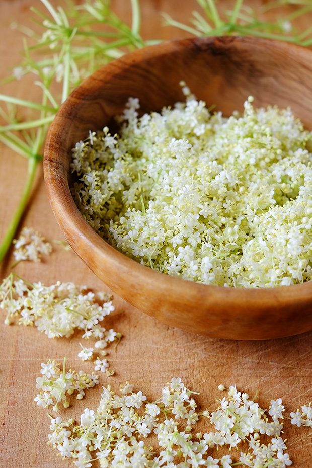 Biancomangiare di mandorle ai fiori di sambuco, con le fragole 2