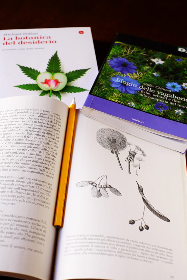 libri_small