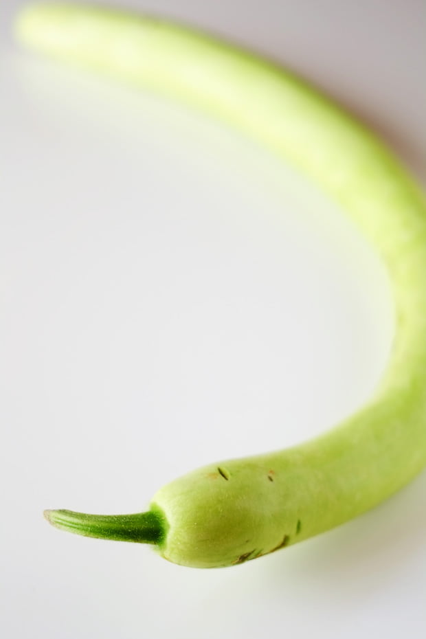 Cucuzza siciliana marinata allo zenzero 2 cucuzza_small