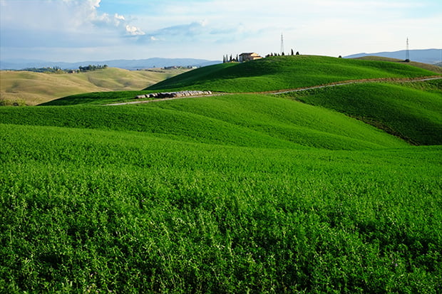 staffolino_small