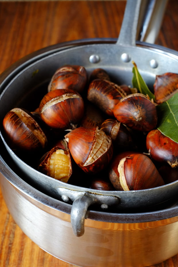 castagne_cotte_small