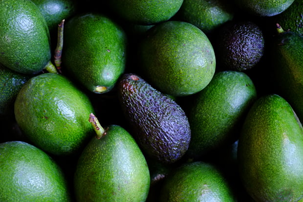 avocado_small