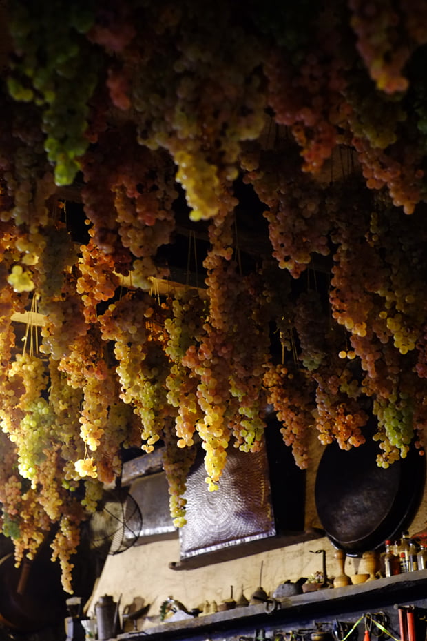 La mela limoncella e la sua essiccazione 4 mele_3_small