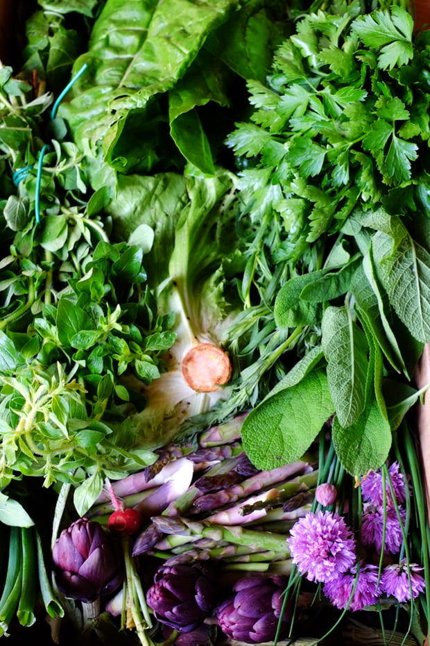 verdure_vitis_small