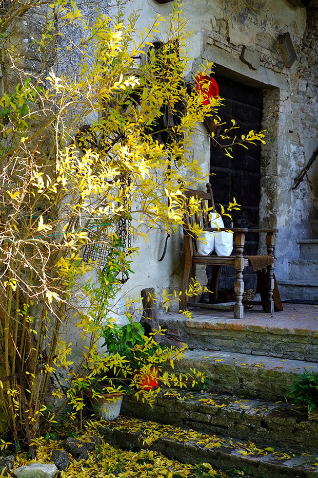 Composta di mele limoncelle 3 archearb_2016_small