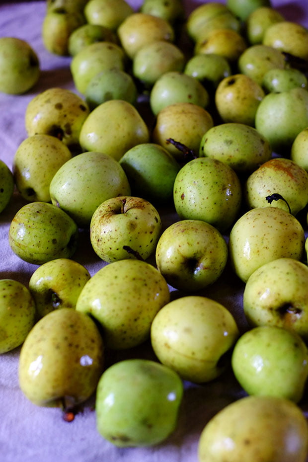 Composta di mele limoncelle 6 composta_limoncelle_small