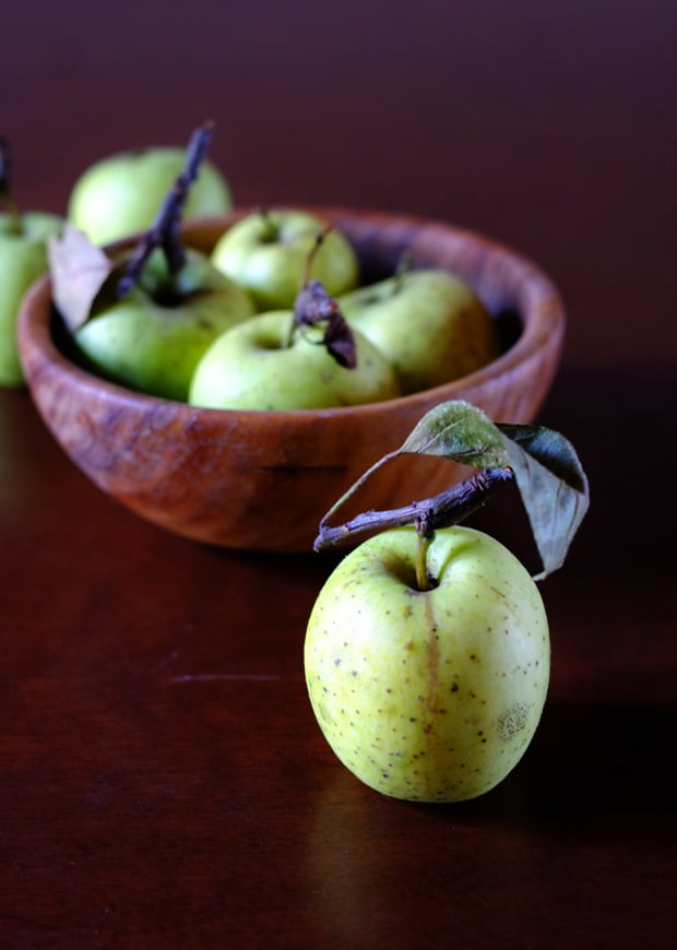 Composta di mele limoncelle 2 limoncella_2016_small