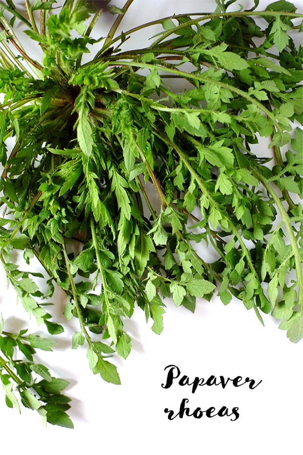 Crostini alle erbe e ceci con fiori di rosmarino e olio e.v.d'oliva Moraiolo 3