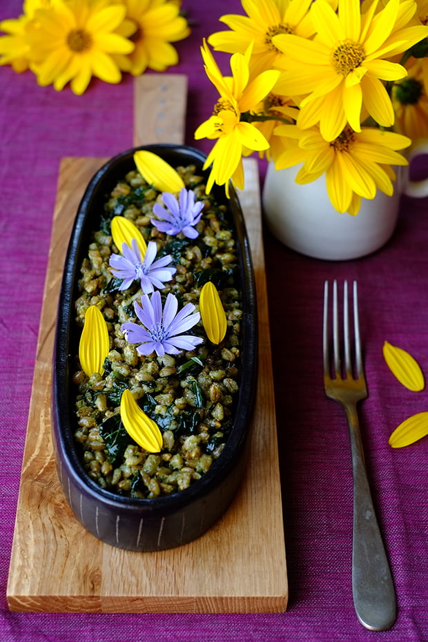 Farro al pesto di ortica con cavolo nero e petali di topinambur 5