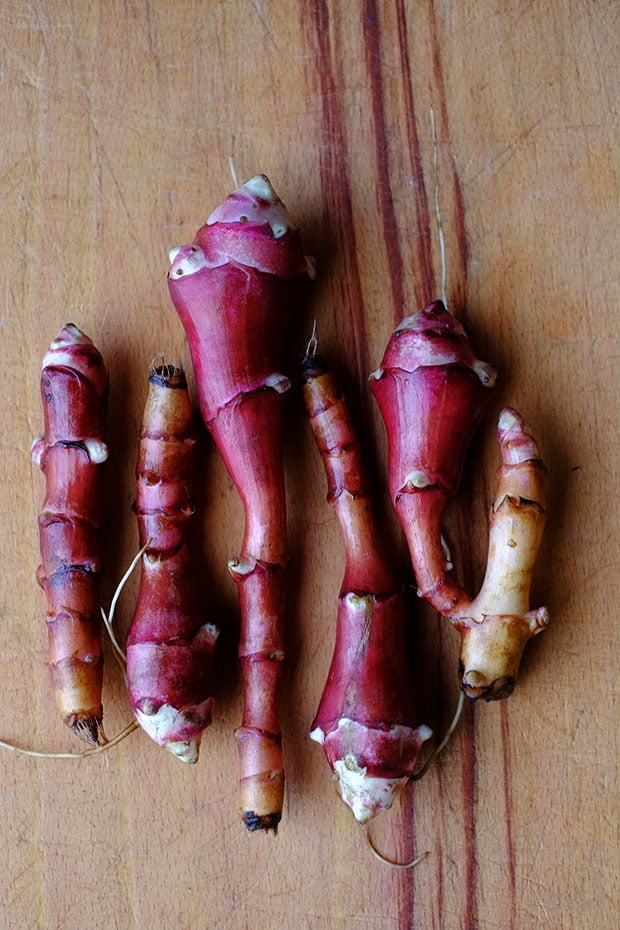 Vellutata di topinambur selvatico e carote con crostini di pane al timo 3