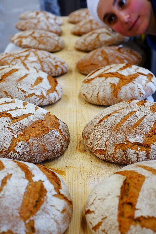Le nuove filiere locali del grano: Il pane di grani antichi del Podere Pereto 6 Le nuove filiere locali del grano: Il pane di grani antichi del Podere Pereto 6