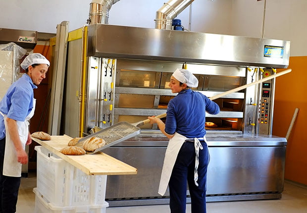 Le nuove filiere locali del grano: Il pane di grani antichi del Podere Pereto 12 Le nuove filiere locali del grano: Il pane di grani antichi del Podere Pereto 12