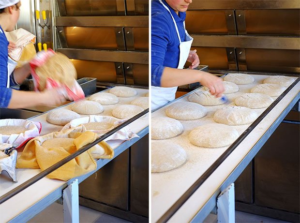 Le nuove filiere locali del grano: Il pane di grani antichi del Podere Pereto 10 Le nuove filiere locali del grano: Il pane di grani antichi del Podere Pereto 10