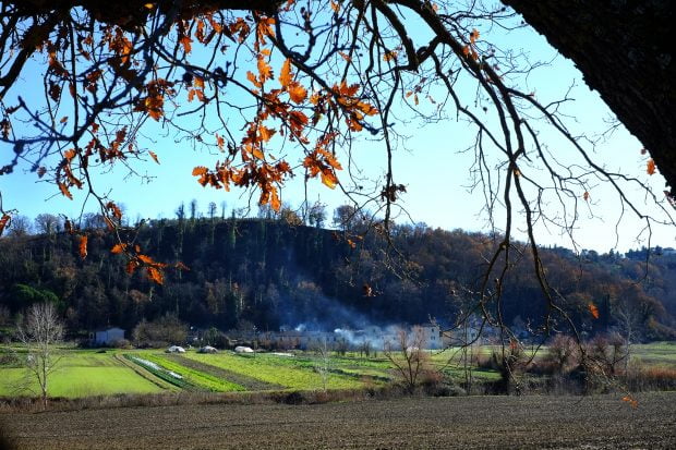 L'inverno alle porte e una ricetta semplice 3
