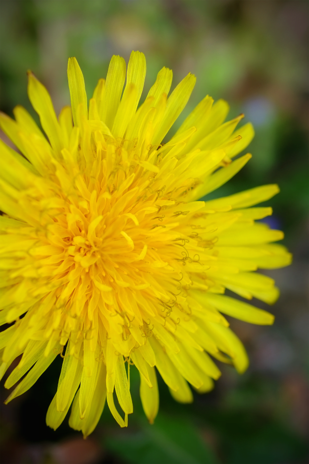 Una nuova stagione 1