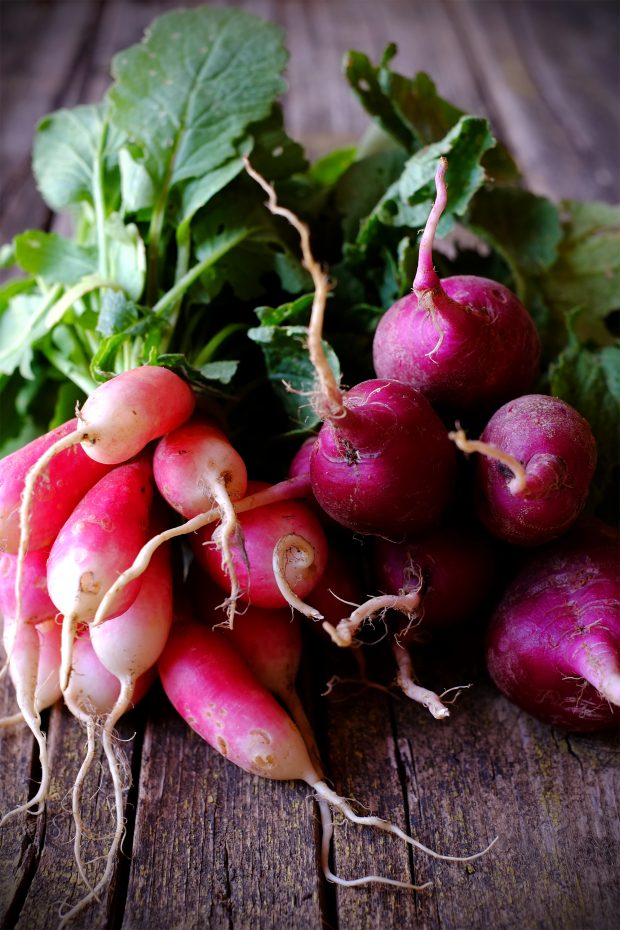 Insalata di radici, con pesto delle proprie foglie e fiori di campo 3