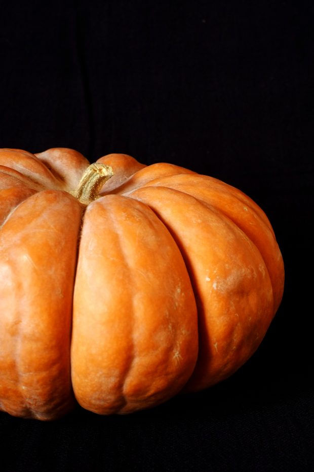 Crema di zucca e radice di cardo mariano al profumo di elicriso 3