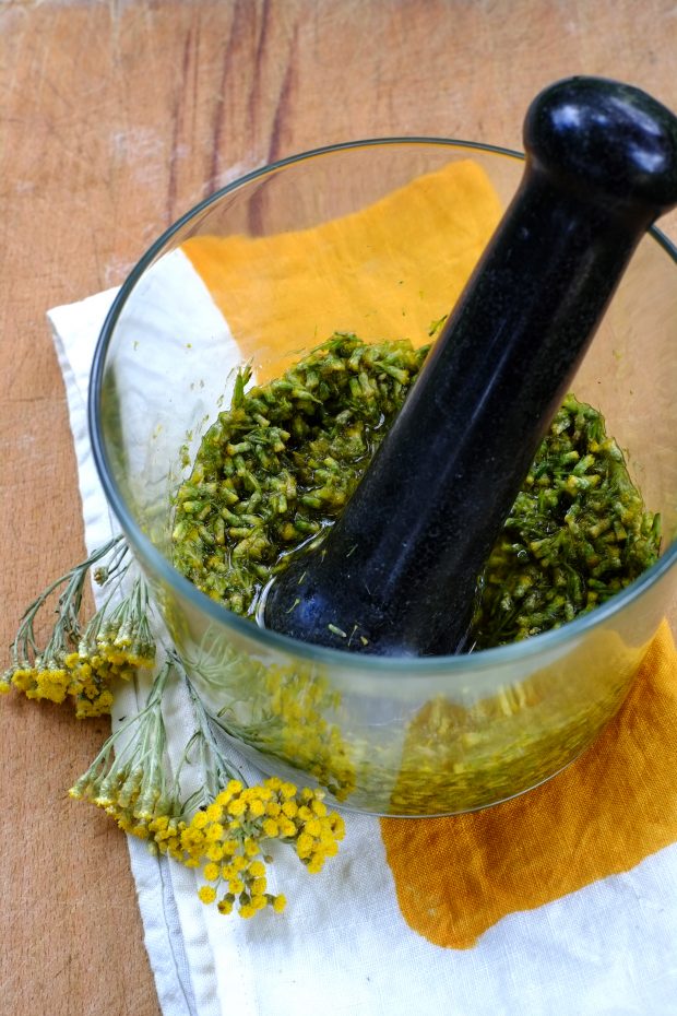 Tintura madre di elicriso 1