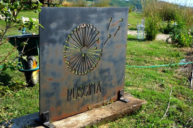 Puscina Flowers - Coltivare bellezza, senza tradire la natura 2