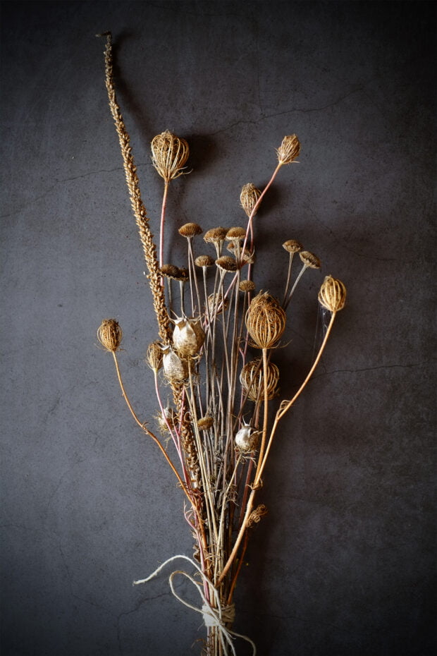 fiori secchi