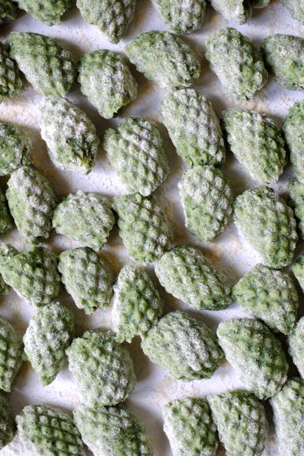 gnocchi_ortica