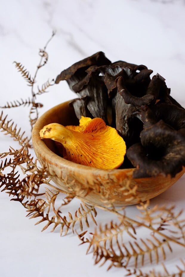 Polenta con trombette dei morti, cantarelli e steccherini 2 trombette_morti