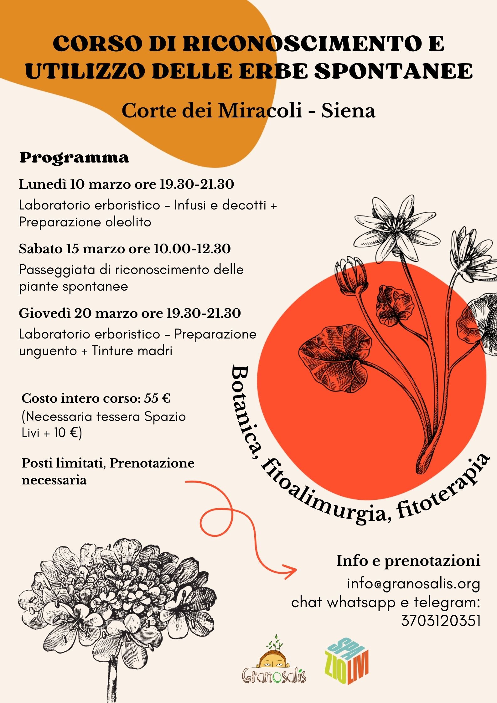 Corso in tre giorni di riconoscimento e utilizzo delle erbe spontanee a Siena 7 erbe_corte_dei_miracoli