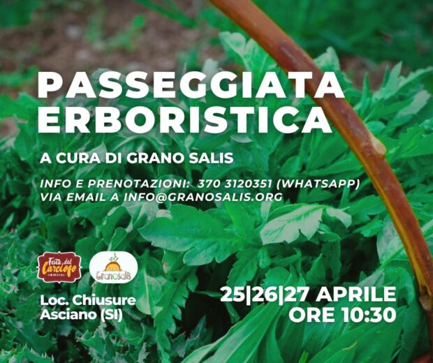 Passeggiate botaniche alla Festa del Carciofo di Chiusure (SI) 73