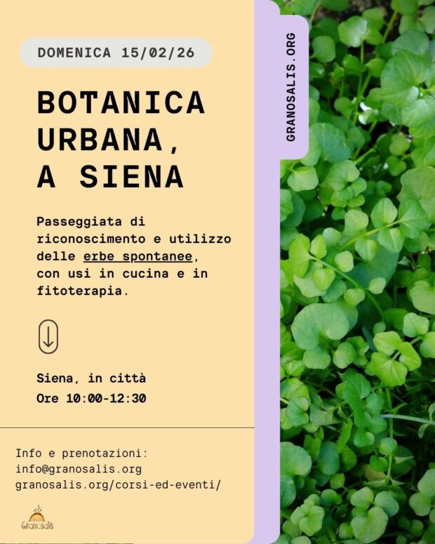 rconoscimento_erbe_spontanee_siena