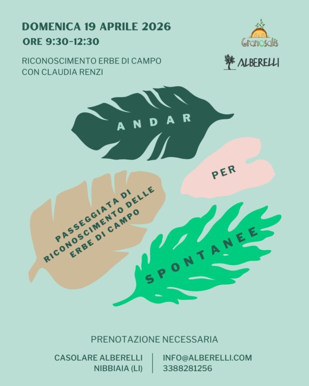 erbe_spontanee_livorno_foraging