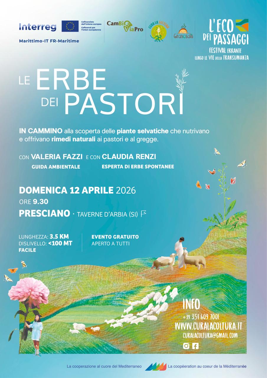 Le erbe dei Pastori - Presciano (SI) 7 erbe_pastori