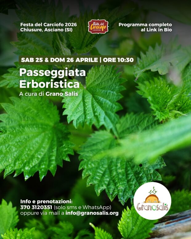 erbe_spontanee_siena