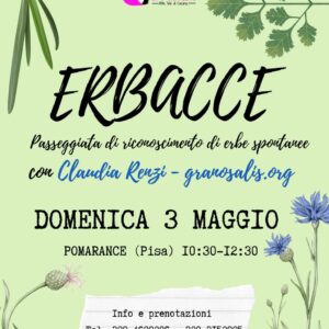 erbe_spontanee_pomarance