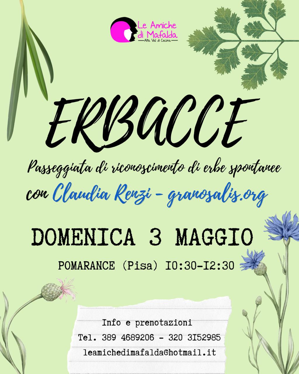 Erbacce - Passeggiata botanica a Pomarance (PI) 7 erbe_spontanee_pomarance