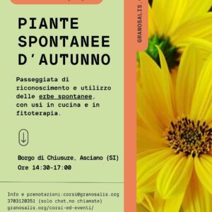 Piante spontanee d'autunno a Chiusure (SI) 18