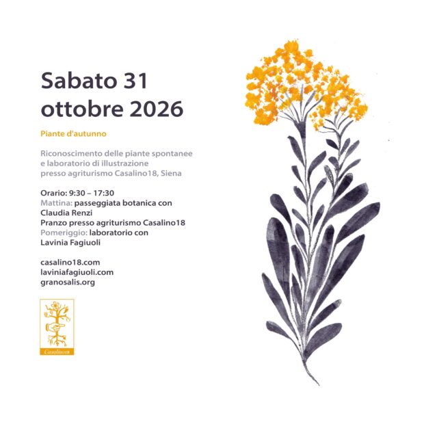 Piante d'Autunno - Casalino18, Siena 20
